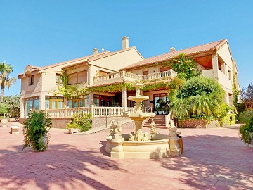 Luxury large Villa with business 